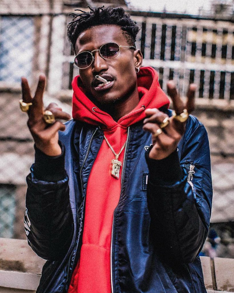 Octopizzo Net Worth